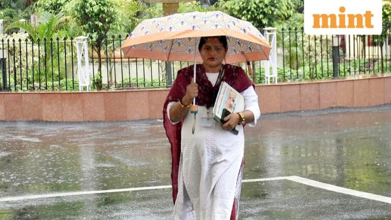 Delhi rains LIVE: IMD warns of more downpours; overnight showers bring relief from the hot and humid weather | Today’s news