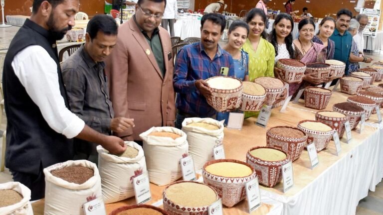 Desi Rice Mela begins in Mysuru, more than 200 varieties are on display
