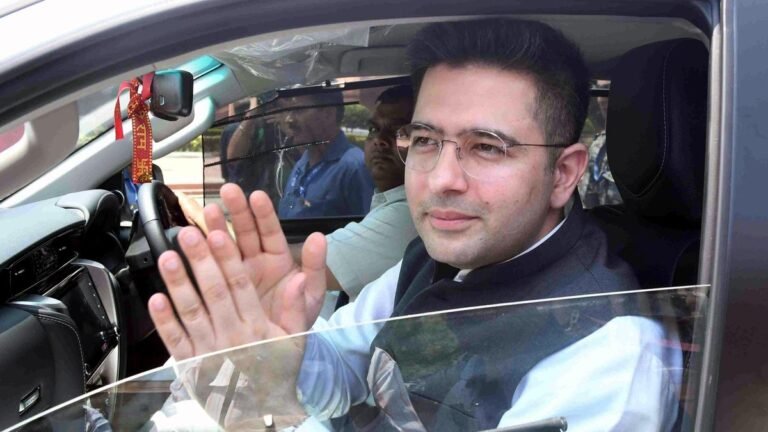 Fine line between defamation and criticism: Delhi HC on Raghav Chadha seeking protection of personality rights