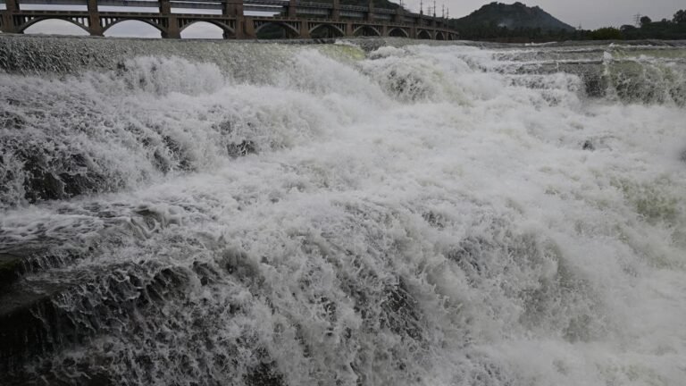 86 dams in Tamil Nadu, including Mettur and Vaigai, will come under review by independent panels of experts