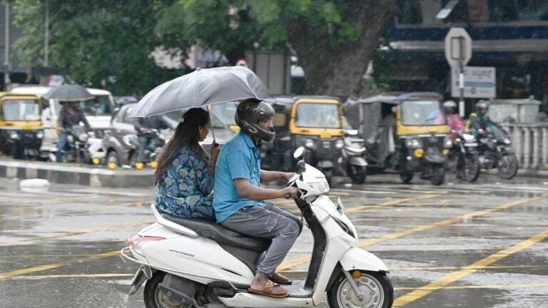 Karnataka rains: Schools closed in some parts of Malnad region