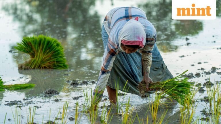 Uneven monsoon could lift inflation, hurt rural economy: S&P | Today’s news