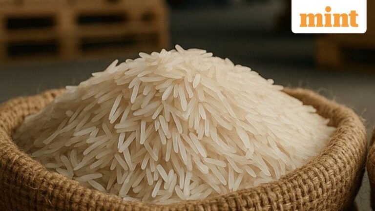 Basmati acreage rises in India as strong prices offset monsoon risks | Today’s news