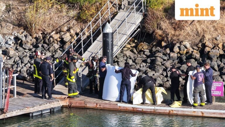 One Dead, Two Missing After Ship With 19 Floods Sinks Near San Francisco’s Alcatraz Island; investigation underway | Today’s news