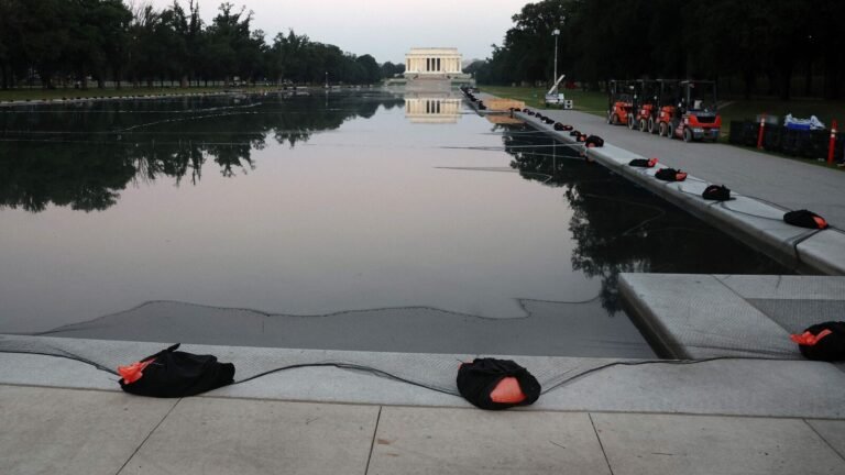Lincoln Memorial Reflecting Pool Damage Case: Former US Olympian David ‘Davey’ Hearn Sued | Today’s news