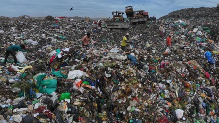 It is time for Tamil Nadu to segregate solid waste at source