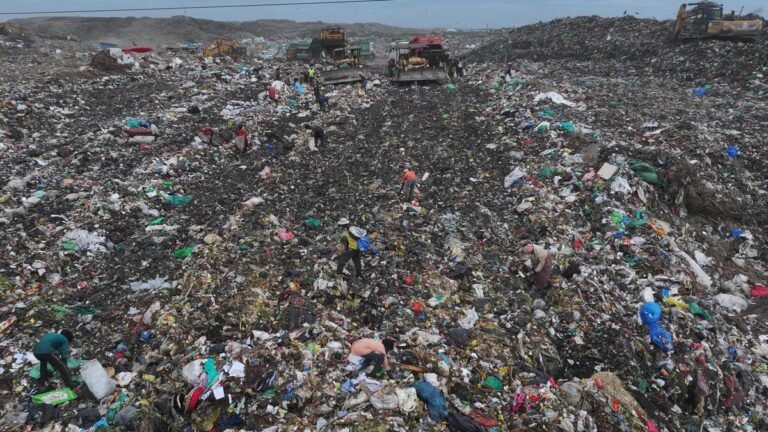 A new tool to help cities quantify greenhouse gas emissions from food waste