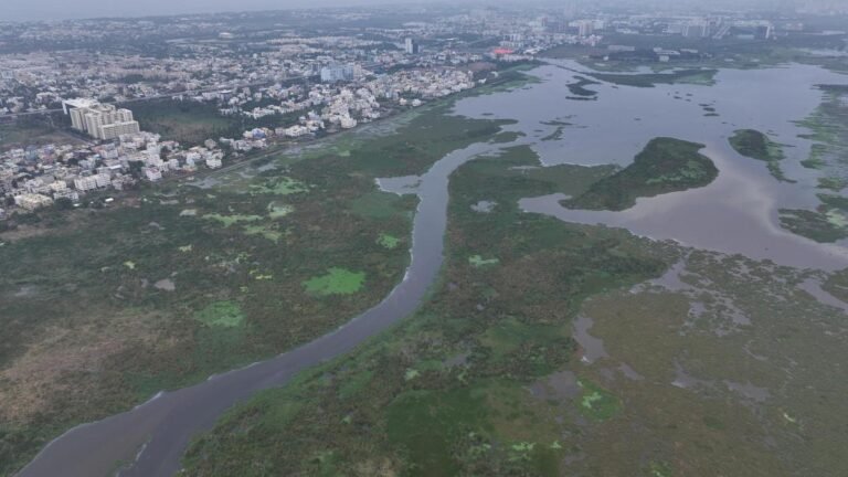 Quicksand in Chennai’s Pallikaranai Swamp