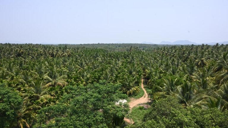 Bidadi Project: Hours after the Karnataka Chief Minister announced the review panel, the Govt. issues final land notification for acquisition of 4,944.49 acres in four villages