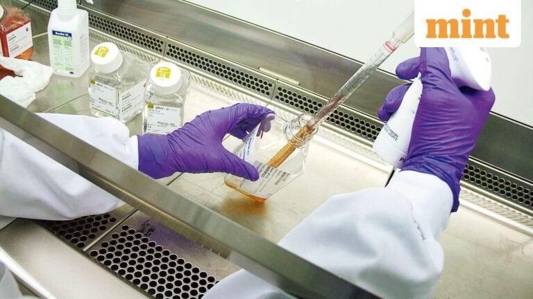 India approves first dengue vaccine amid rising disease burden | Today’s news