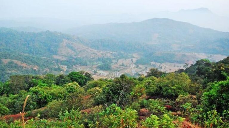 Expert panel opposes approval of ₹10,000 crore Sharavathi Pumped Storage Project citing irreversible environmental damage