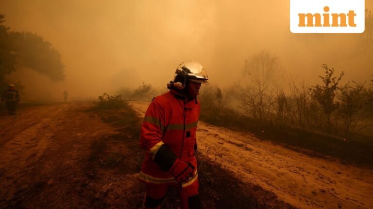 Tens of thousands of people forced from their homes as wildfires spread across France and Spain | Today’s news