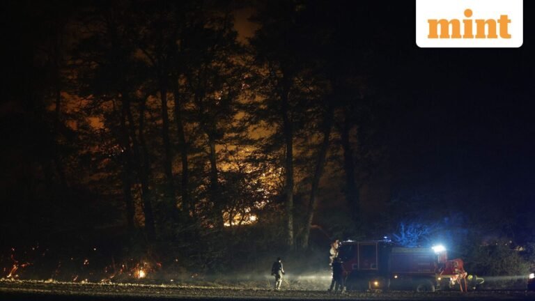 France inferno: Water bombers deployed as raging wildfire threatens historic Fontainebleau forest near Paris | Today’s news