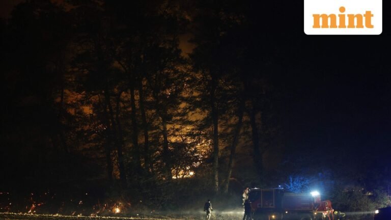 Wildfire erupts near Clayton, California, spreads to 125 acres; Evacuation Warning Issued: Details | Today’s news