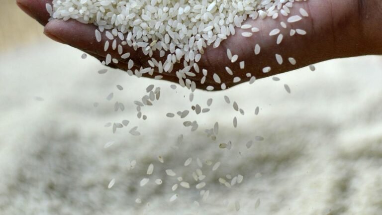 Tamil Nadu has harvested less rice than its share under the Antyodaya Anna Yojana in five of the last seven years