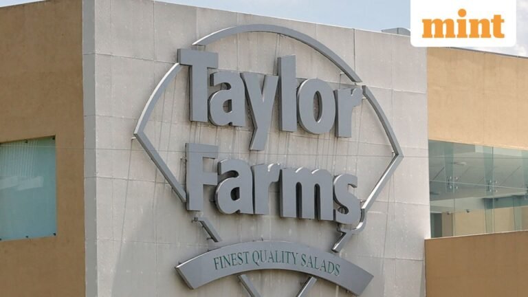 FDA says false positive doesn’t change focus on Taylor Farms lettuce in US cyclospora outbreak | Today’s news