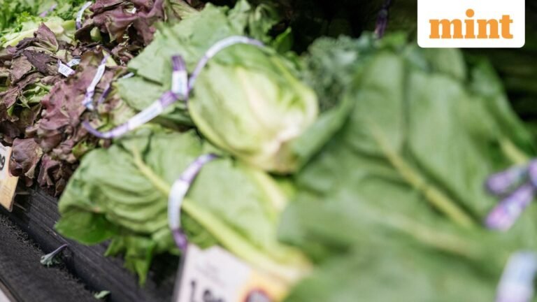 Taco Bell customer visits drop 31% after Cyclospora parasite outbreak linked to lettuce — Report | Today’s news