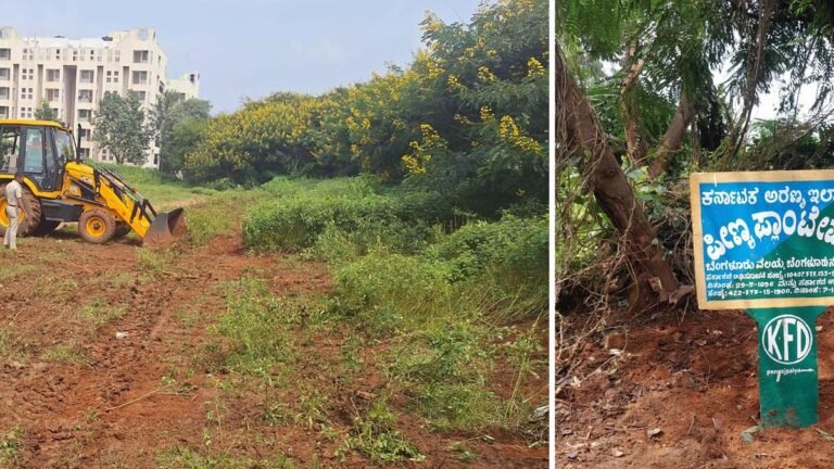 A huge land of 430 acres in Peenya plantation was ordered back to Forest Dept
