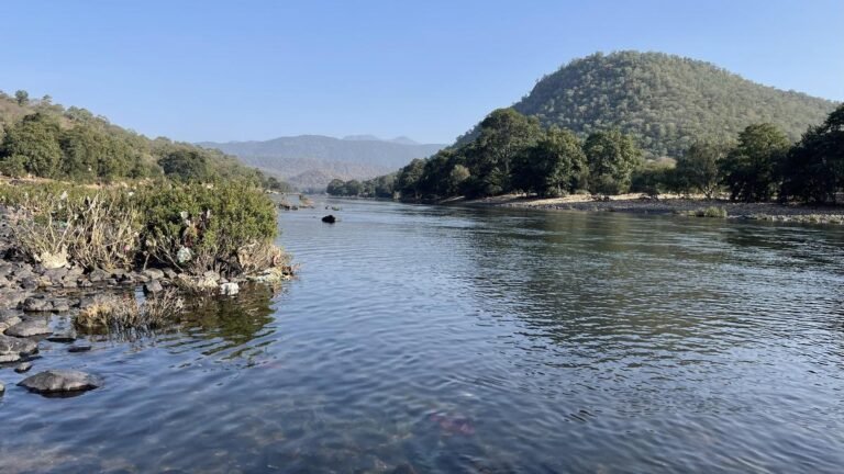 Cauvery water release decision after July 15 meeting: Karnataka Chief Minister
