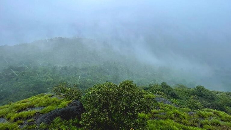 One quarter of India’s monsoon rains evaporate into the air, says a new study