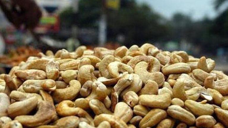 Kerala cashew nut import scam: Govt tells HC state will approve CBI prosecution of former KSCDC chairman MD