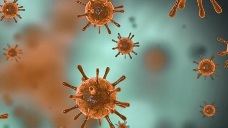 No evidence of highly virulent variant of COVID-19 in TN, says health department