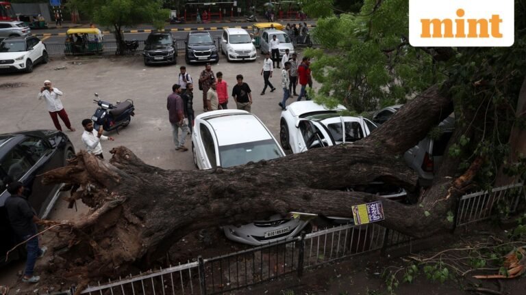 Weather Today LIVE Update: Delhi on IMD red alert, Mumbai to see heavy rains but ‘monsoon activity may moderate’ | Today’s news