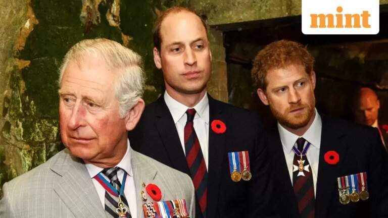 Prince Harry and Prince William have a rare talk after England’s World Cup exit | Today’s news