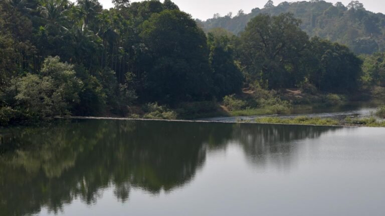 Union govt returns Karnataka’s plea for wildlife clearance for Mahadayi watershed projects, calls sub-judge