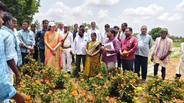 K-100 project launched in Narayanpet to promote crop diversification and climate resilient agriculture