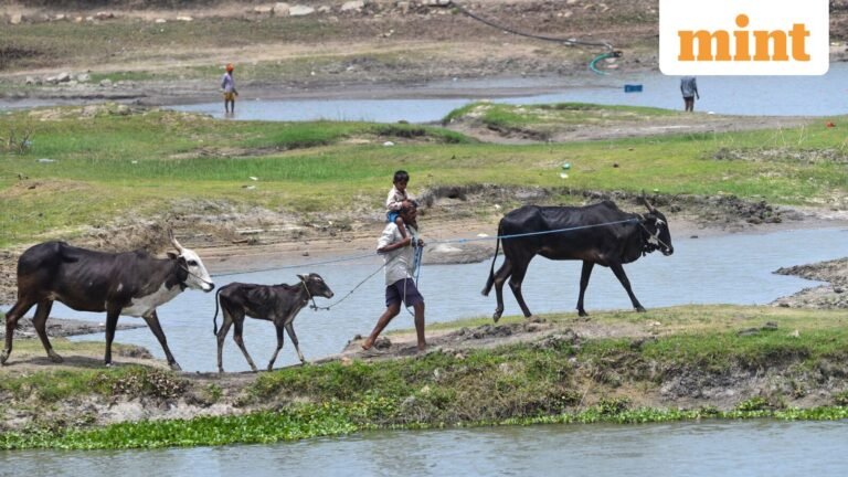 In Charts: How Rain Dependence Exacerbates India’s Water Stress | Today’s news