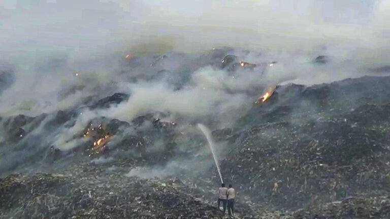 Activist slams NGT for ‘unfulfilled assurances’ after Bandhwari landfill fire, seeks probe by pollution control body