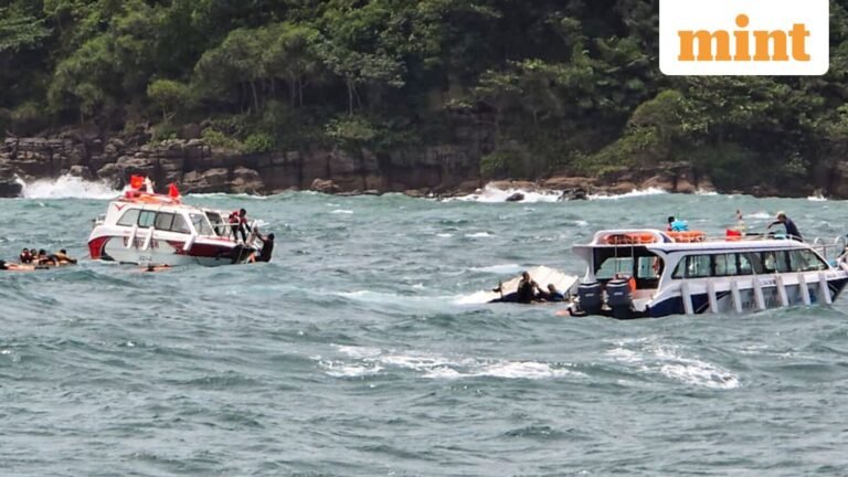 Vietnam Tragedy: Speedboat Operator Arrested Over Accident That Killed 15 Indian Tourists | Today’s news