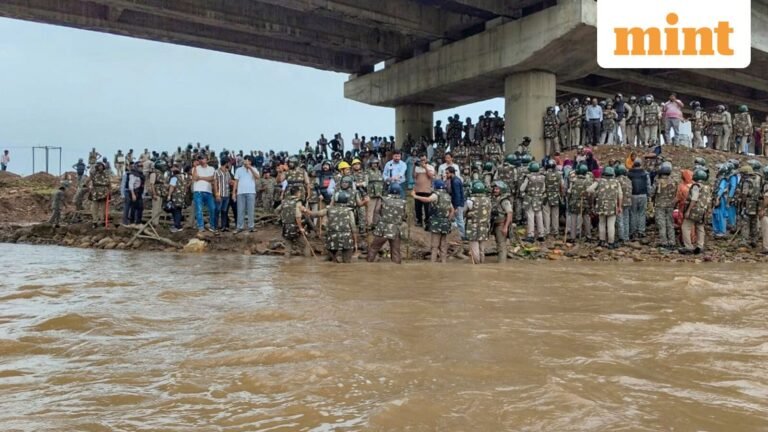Ken Betwa Project: 15-day protest ends after MP police clear demonstration site; here is why the tribals protested | Today’s news