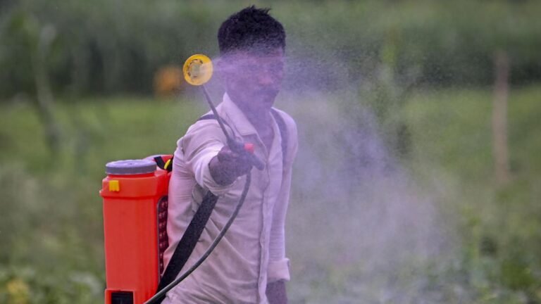 The center bans paraquat dichloride, a herbicide linked to thousands of self-harms, murders and accidental deaths