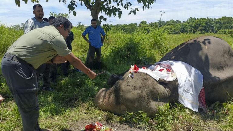 Kaziranga bids farewell to the iconic elephant guard