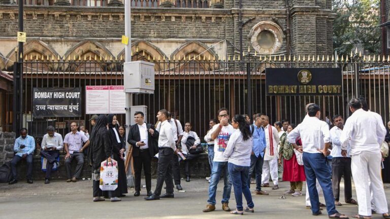 One cannot be an outsider just because he participates in agitations and protests against the government: Bombay HC