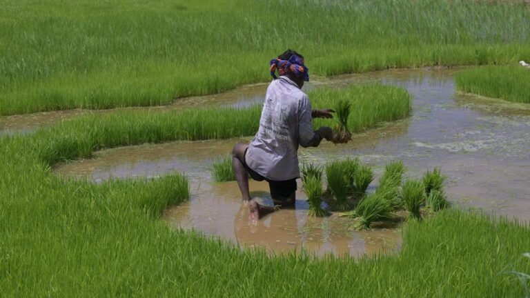 How El Niño Can Hurt India’s Economy | Explained
