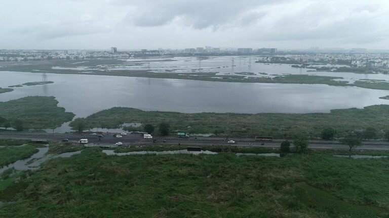 Madras High Court to review NGT’s ban on construction within 1 km of Pallikaranai swamps on August 3