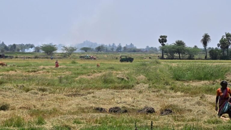 The uncertain flight of Parandur airport