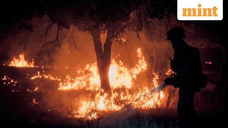 Spain faces historic fire crisis: Thousands evacuated as fires threaten Madrid — Top updates | Today’s news