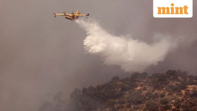 Forest fires in France and Spain: Bordeaux fire, mass evacuations and international aid – latest updates | Today’s news