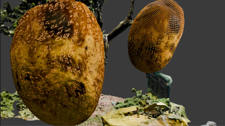 This multimedia art project explores the seasonal life cycle of the Karnataka mango