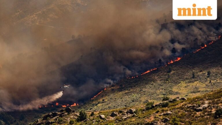 Spain declares national emergency as wildfires rage; France evacuates 40,000 | Today’s news