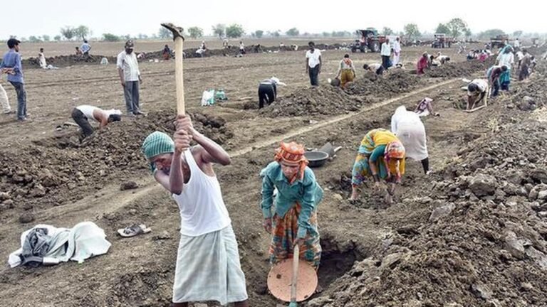 Employment shrinks by 67.6 lakh in first fortnight after switchover to MGNREGS, LibTech finds
