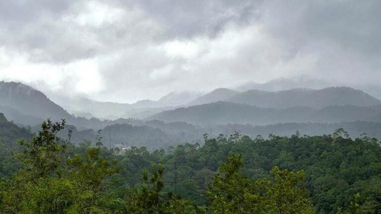 The panel will consider two complaints of leasing and illegal diversion of forest land in Kerala