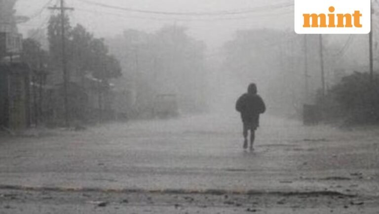El Nino could become one of the strongest in history and hit India, Australia, the US, warns the meteorological agency | Today’s news