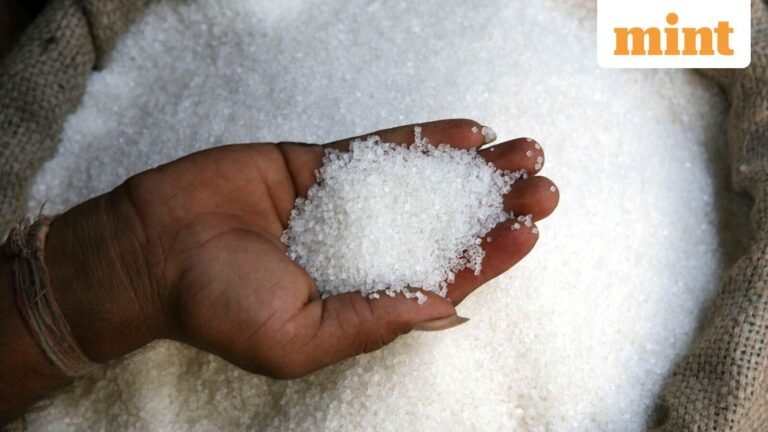 The government imposed limits on sugar stocks until November to reduce prices | Today’s news