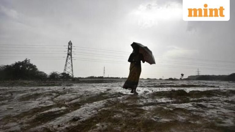 WMO warns strong El Niño could raise global temperatures – what impact? | Today’s news