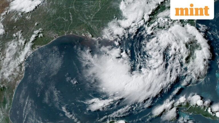 Tropical Storm Watch Issued For Florida Panhandle As Fausto Strengthens Over Gulf Of Mexico | Today’s news